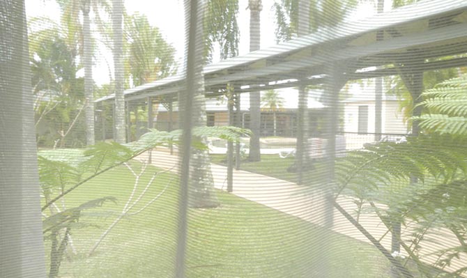 islander Executive Queen 0014 19 P1100632